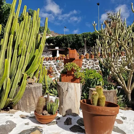 Historica Casa Con Vistas Al Jardin De Cactus Y Montanas * Mogán